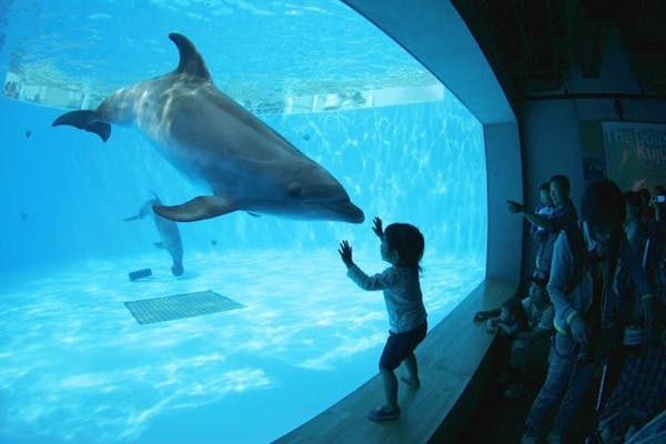 電子チケット】九十九島動植物園森きらら - ClubOff for