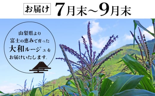 ルイヴィトン アンプラント ポルトフォイユ・ゾエ マリーヌルージュを買取｜愛知・一宮市｜一宮富士店