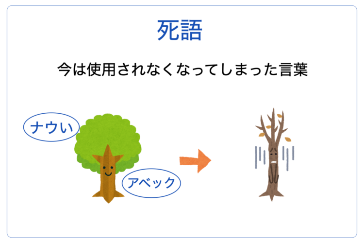 写メ」は死語？今でも意味は通じる？カメラ付きケータイの生みの親に話を聞いた【マイネ王調査団】 | スタッフブログ | マイネ王