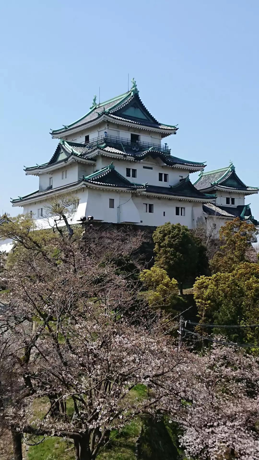 天王新地（和歌山市/バス停）の住所・地図｜マピオン電話帳