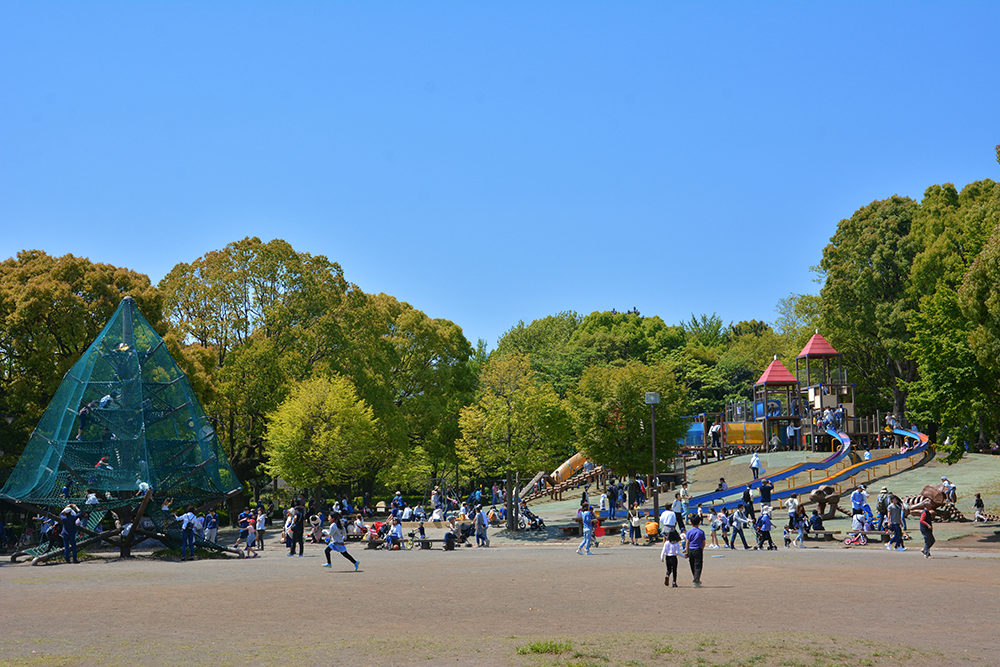 すべり台、デカい！】大久保公園に行ってきた！【結構遊べるよ】｜平塚に住まない？