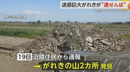 埼玉 白岡市の新人職員が特産の梨栽培を体験する研修｜NHK 首都圏のニュース