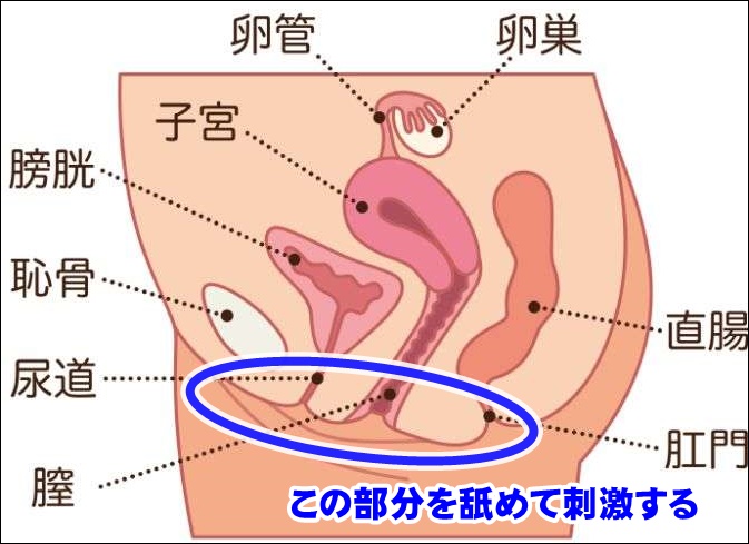 トロけるキスの仕方💋濃密ディープキスからおっぱい攻め・潮吹きクンニ・ハメ潮へと突入🐳【vol.7】