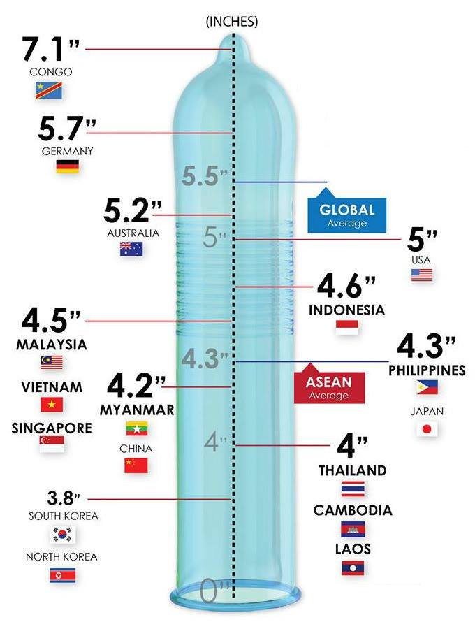 【ちんちんのサイズ】日本人男性のリアル平均を模型で解説