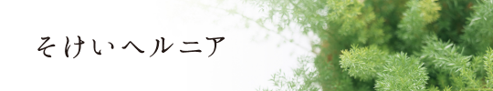 鼠径部（そけいぶ）とは｜場所はどこか、症状で疑われる病気を解説！