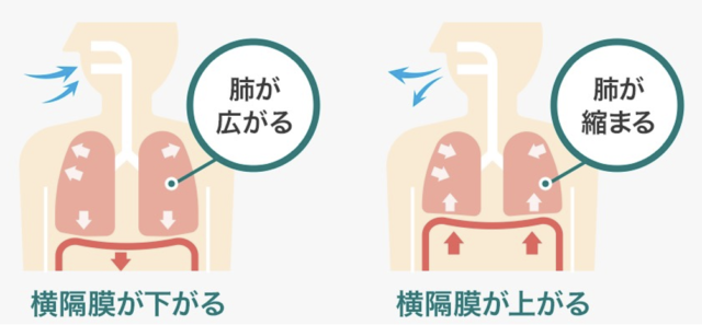 ひじこきの魔力①｜元管理人のblog