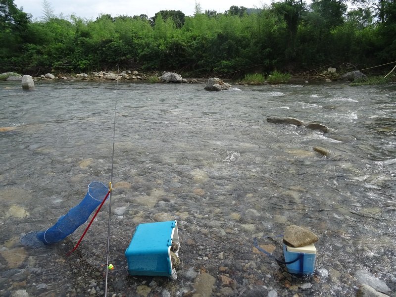 みさき爺、布目湖のワカサギ釣り（263） | みさき爺の釣り日記