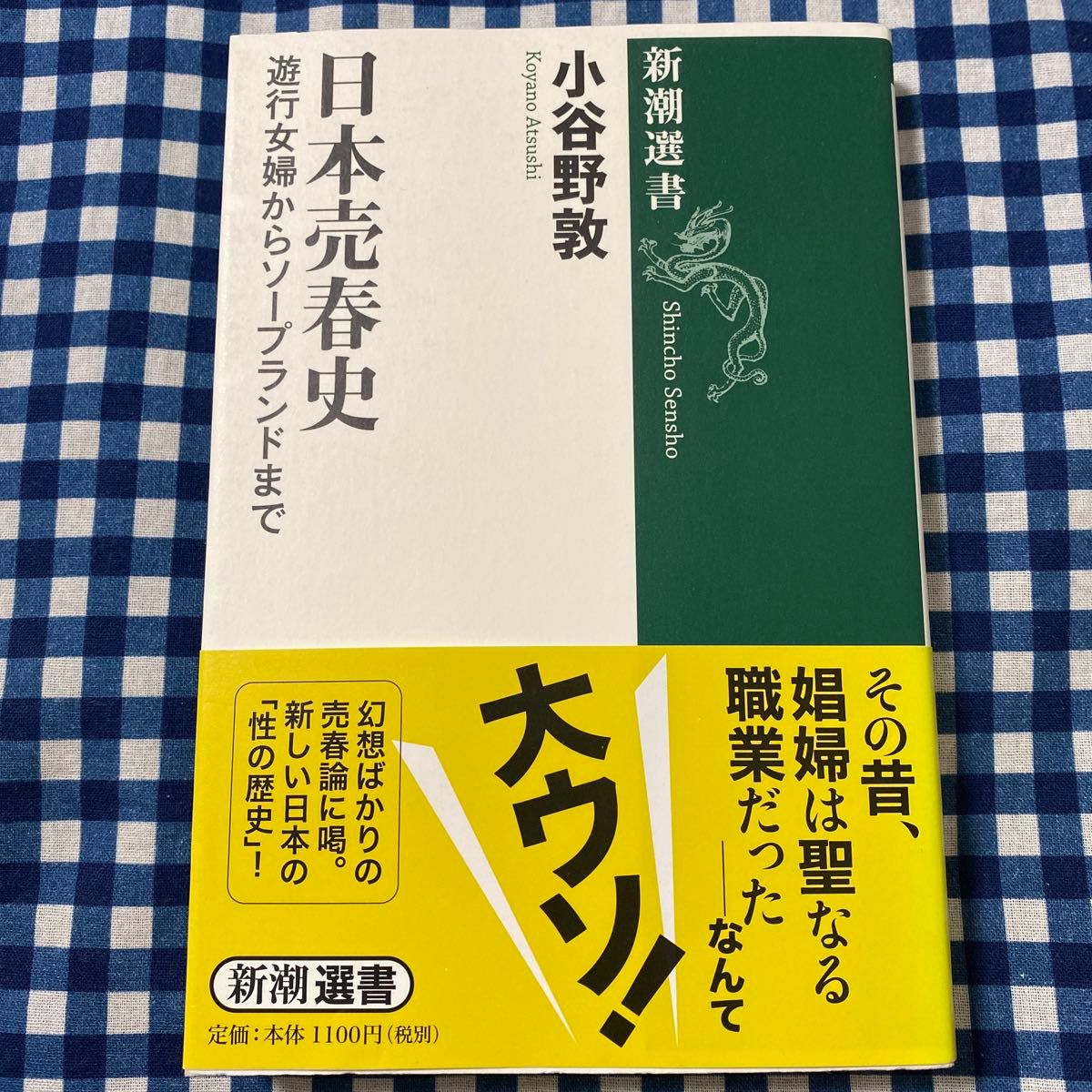 なぜ一部のソープランドは摘発される？｜摘発理由・事例・対策を紹介 | アドサーチNOTE