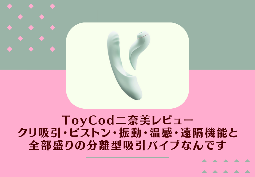 吸うやつで噂のToyCod Taraを体験