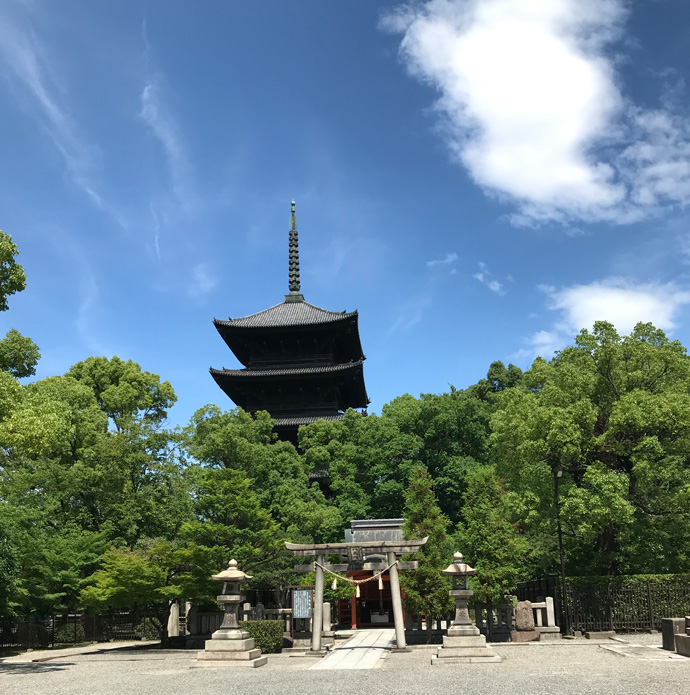 姫和傘 花鳥風月 朱 -