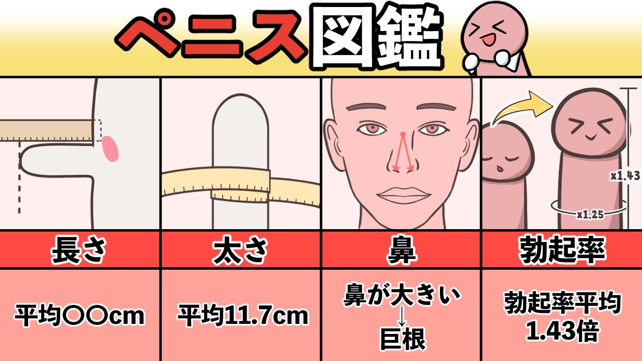 男性器の大きさについて｜大東製薬工業株式会社