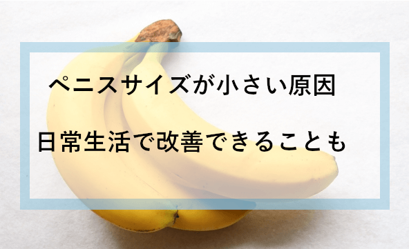 悲報】日本人のちんこの平均サイズと女性が求めるサイズの差が悲惨 | 男の美学