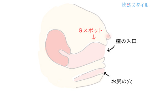 対面立位の体位のやり方をイラストで解説！セックス時の挿入方法やコツも紹介