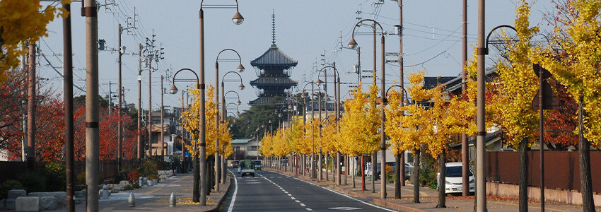 ジャックと豆の木 多彩な女の子がいっぱい集まるお店 - 善通寺・丸亀/ソープ｜駅ちか！人気ランキング