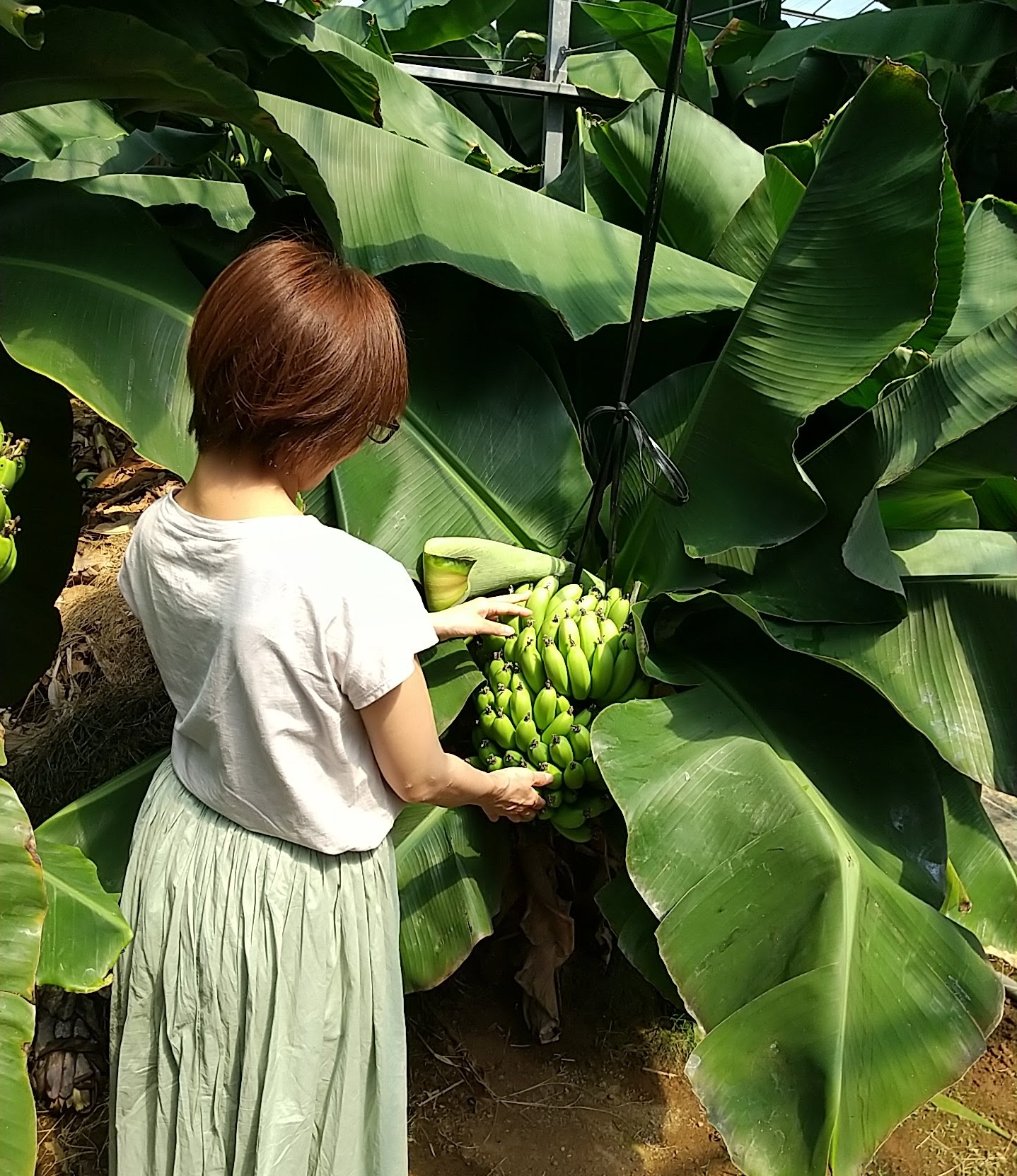 ノットリミラー号「女のオーガズムを体験したい」素人さんを憑依させてあげませんか？ 心優しき巨乳お姉さんをナンパして素人男性を乗っ取らせました！ 