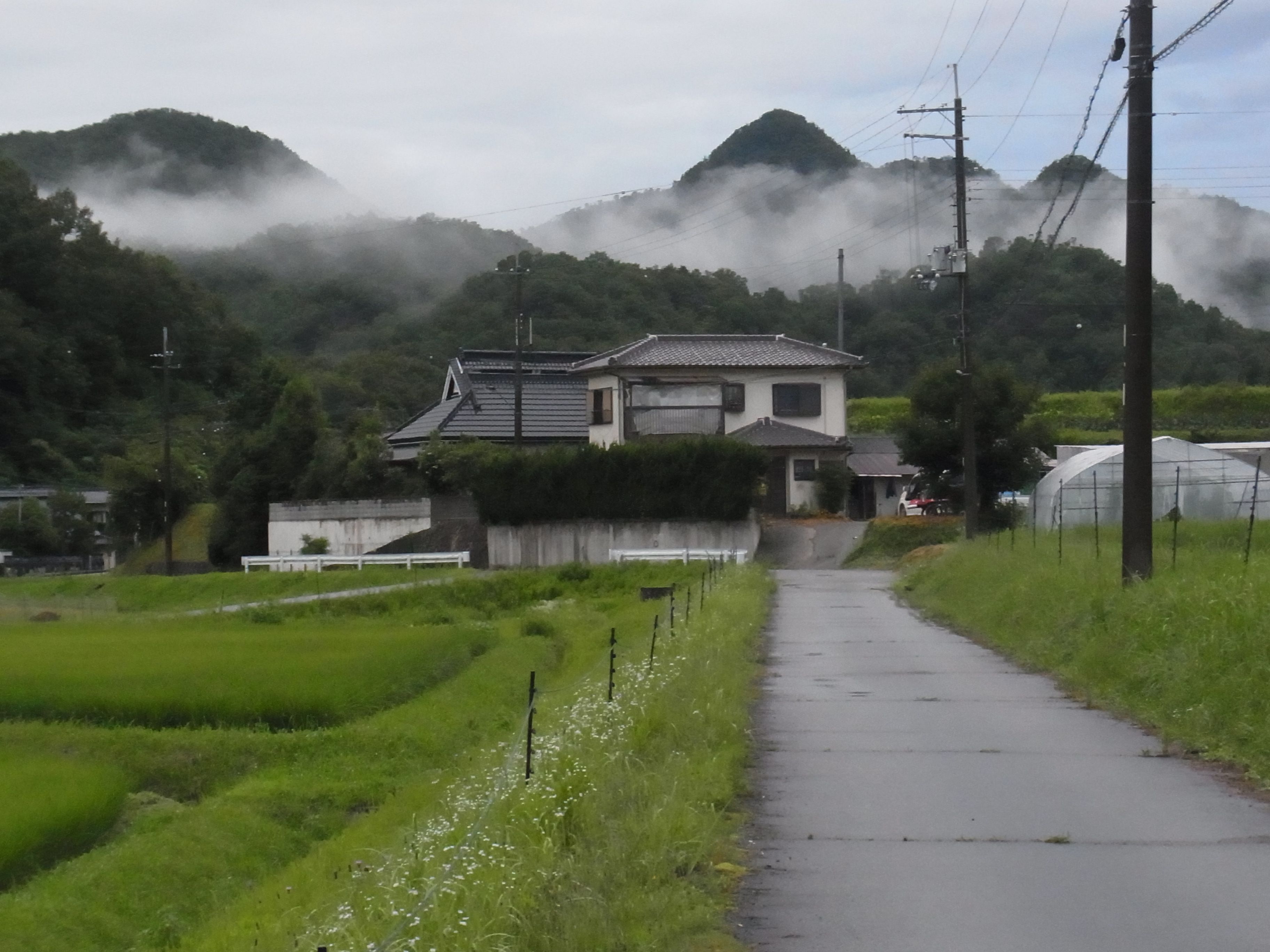 東京秘密基地の「ファンマ」って一体なんだ！？ | お気楽オヤジの備忘録