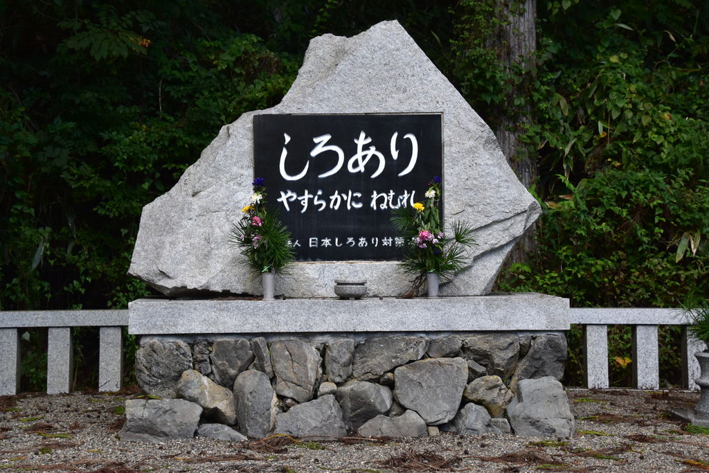 行く春 呑山観音寺、山王寺 (福岡県篠栗町)（2024.04.14） | お出掛け日記２