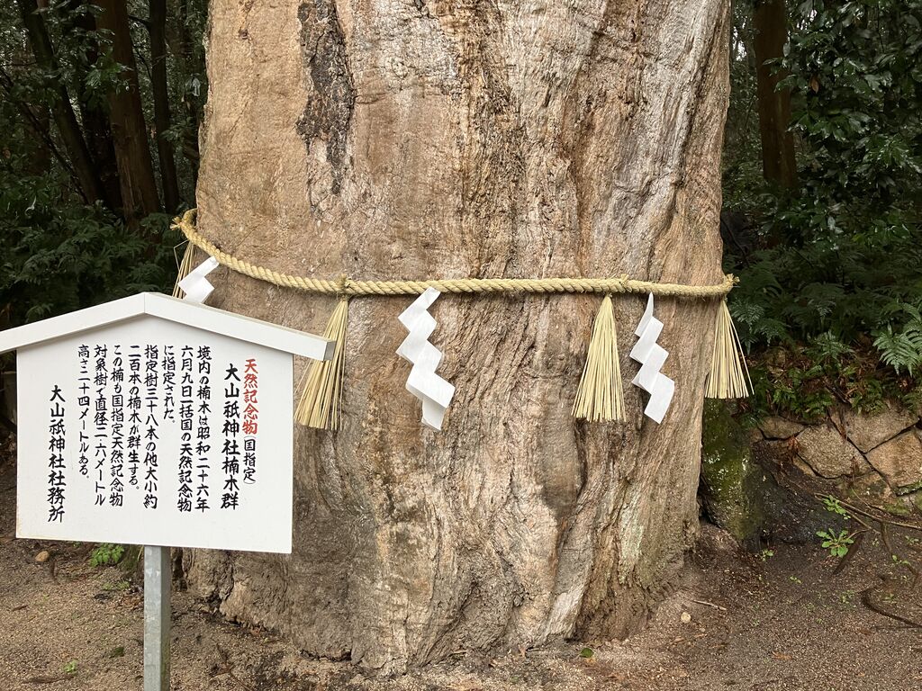 切り抜き 紗綾 吉木りさ