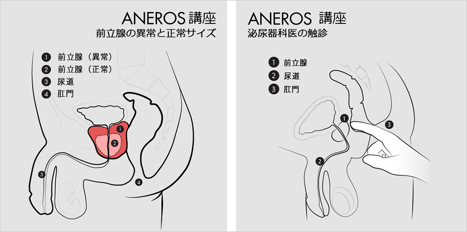 男のストッキングオナニー超絶気持ちいいやり方！おすすめパンストも | 【きもイク】気持ちよくイクカラダ