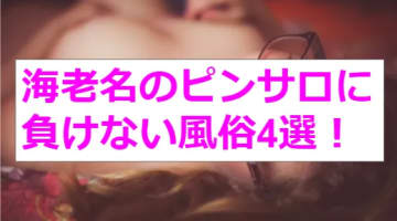 デリヘルが呼べる「東横イン海老名駅東口」（海老名市）の派遣実績・口コミ | ホテルDEデリヘル