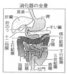 まなか牛乳 on X: 