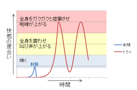 実践アナルオーガズム 「肛門性感からドライオーガズムまで。アナニーでイキまくる！」 :