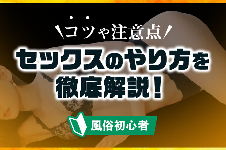 私たちはセックスの仕方がわからない - ソク読み