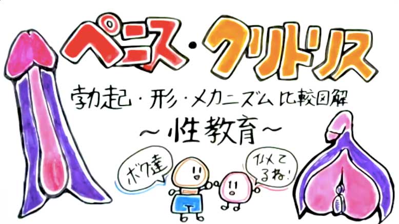 理想的なちんこのサイズや形とは？女性に好まれるちんこのタイプについて解説！ ｜包茎手術・治療なら上野クリニック