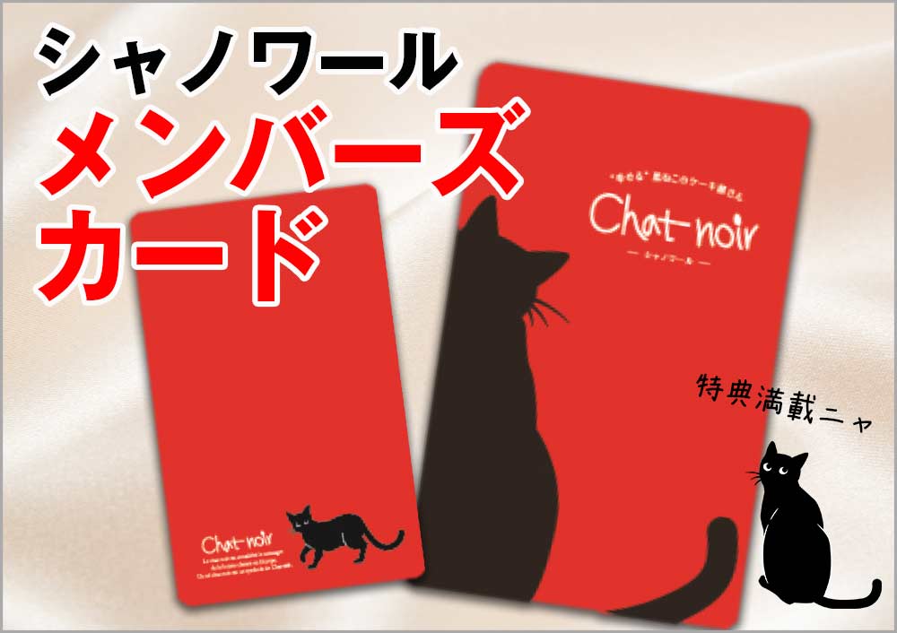 Chat Noir 町田 ワインバー シャノワール