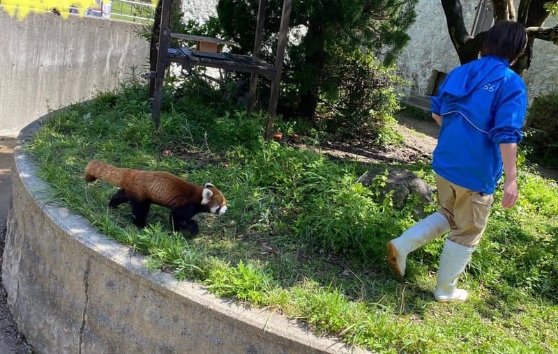 割引チケット・クーポンあり】九十九島動植物園森きらら [佐世保市]｜口コミ・評判 - EPARK