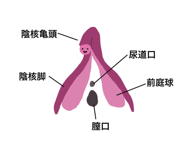 【大人の性教育】子供の作り方_性交編