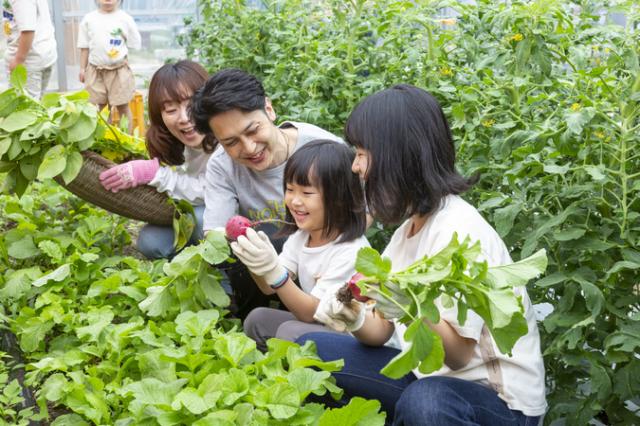 セブンミリオンカントリークラブ(福岡県 福岡市)の詳細情報 -