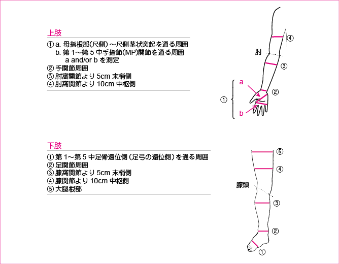 リンパ浮腫専門ケアチーム | 岡山大学病院