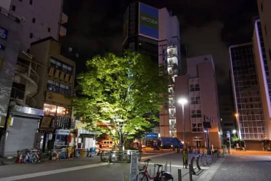 秋葉原は立ちんぼの巣窟 Akihabara is a