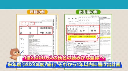 楓」の意味や由来は？名前に込められる思いや名付けの例を紹介！ | トモニテ