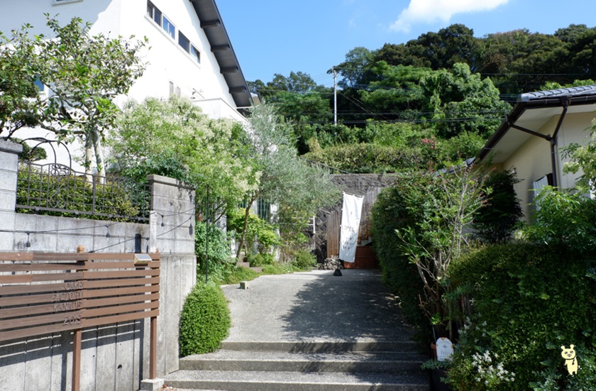 最速発送】半熟生カステラ・台湾カステラお試しセット話題のカステラ2種をご自宅で / カステラ かすてら