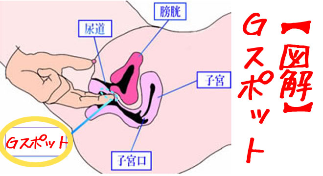 どんな膣が名器なの？男性にはわかる？彼氏はどう思ってる？ | 【きもイク】気持ちよくイクカラダ