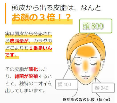 花と根|ドライヘッドスパ . 経路カッサ |豊中.中津.和歌山新宮市