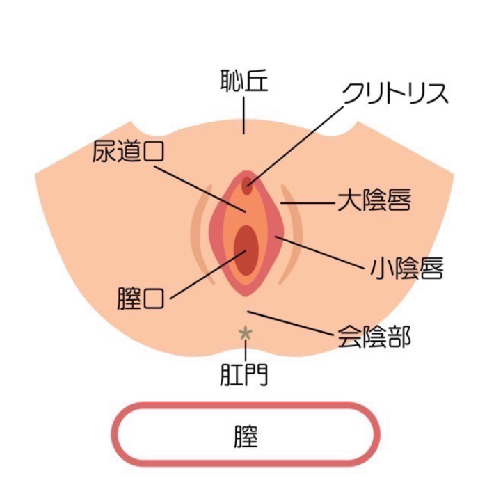 タイトルが『クリトリスはアナーキストである』でなくてよかった。書店で聞きにくいものね。