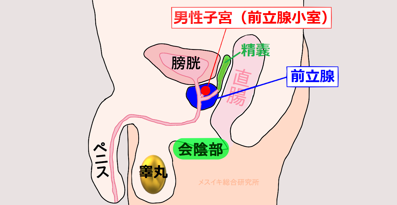 Amazon.co.jp: ドライオーガズム超入門 (SANWA MOOK)