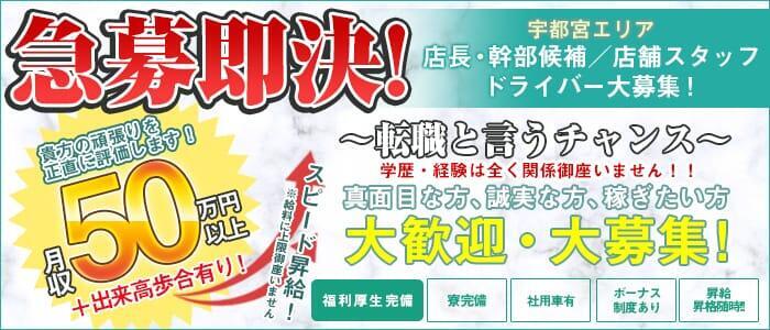 栃木の送迎ドライバー風俗の内勤求人一覧（男性向け）｜口コミ風俗情報局