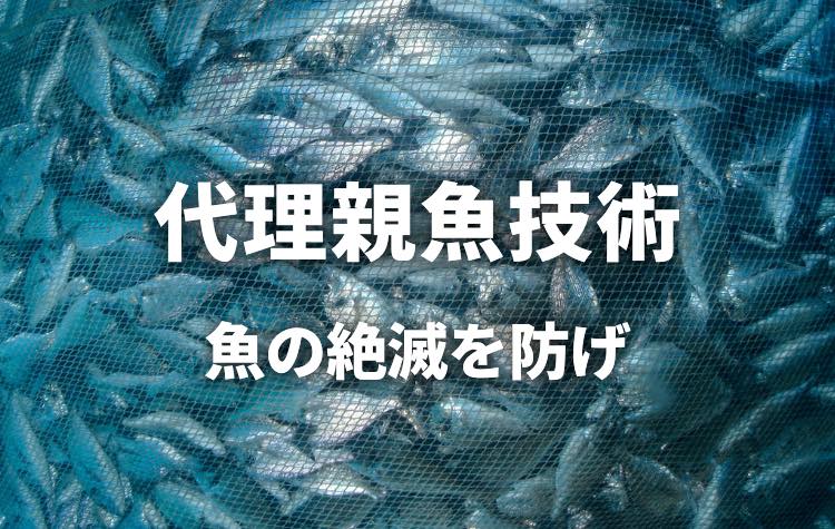 楽天市場】カード型特殊顕微鏡「ココぴゅ！」精子観察キット | 精子検査顕微鏡 | 500倍率・1000倍率