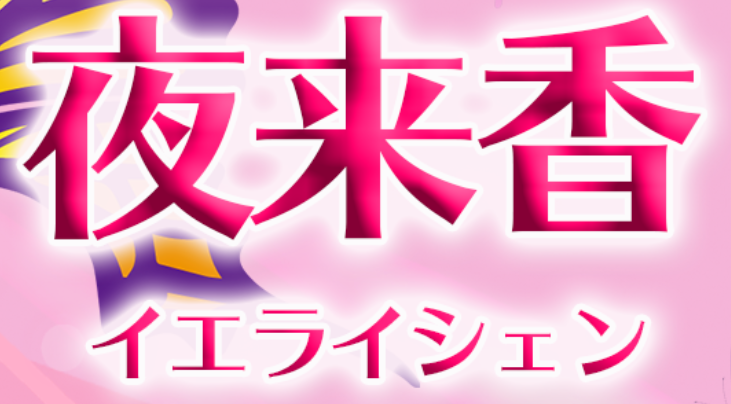 クレジットカードOK】浜松のおすすめメンズエステをご紹介！ | エステ魂