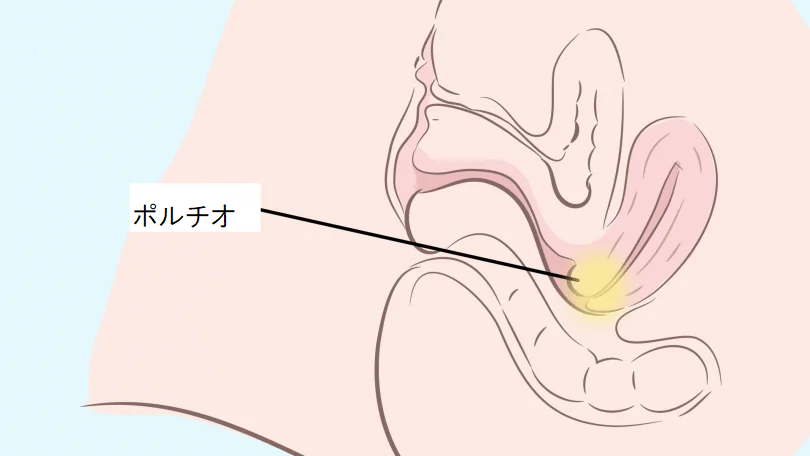 女性向け】中イキのコツや方法を300名以上開発したプロが解説｜裏垢男子で年収2000万