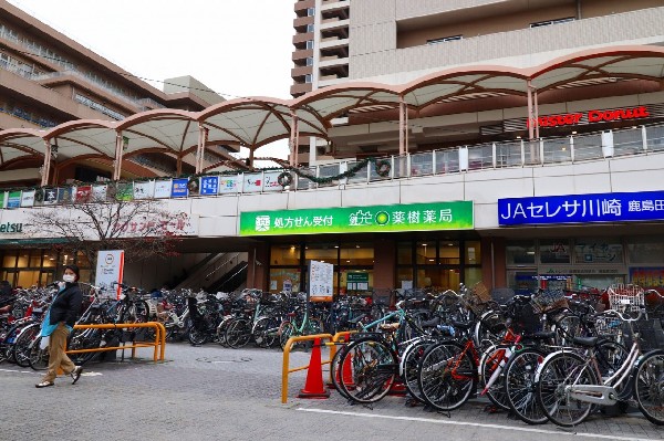 周辺エリア情報｜賃貸ならタウンハウジング鹿島田店