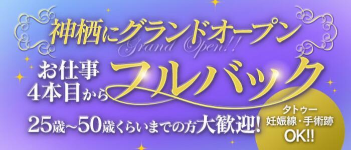 スッキリ商事 - 神栖・鹿島デリヘル求人｜風俗求人なら【ココア求人】