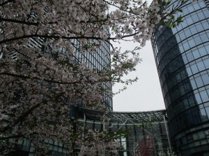 みお はついく秋葉原】 | はついく秋葉原