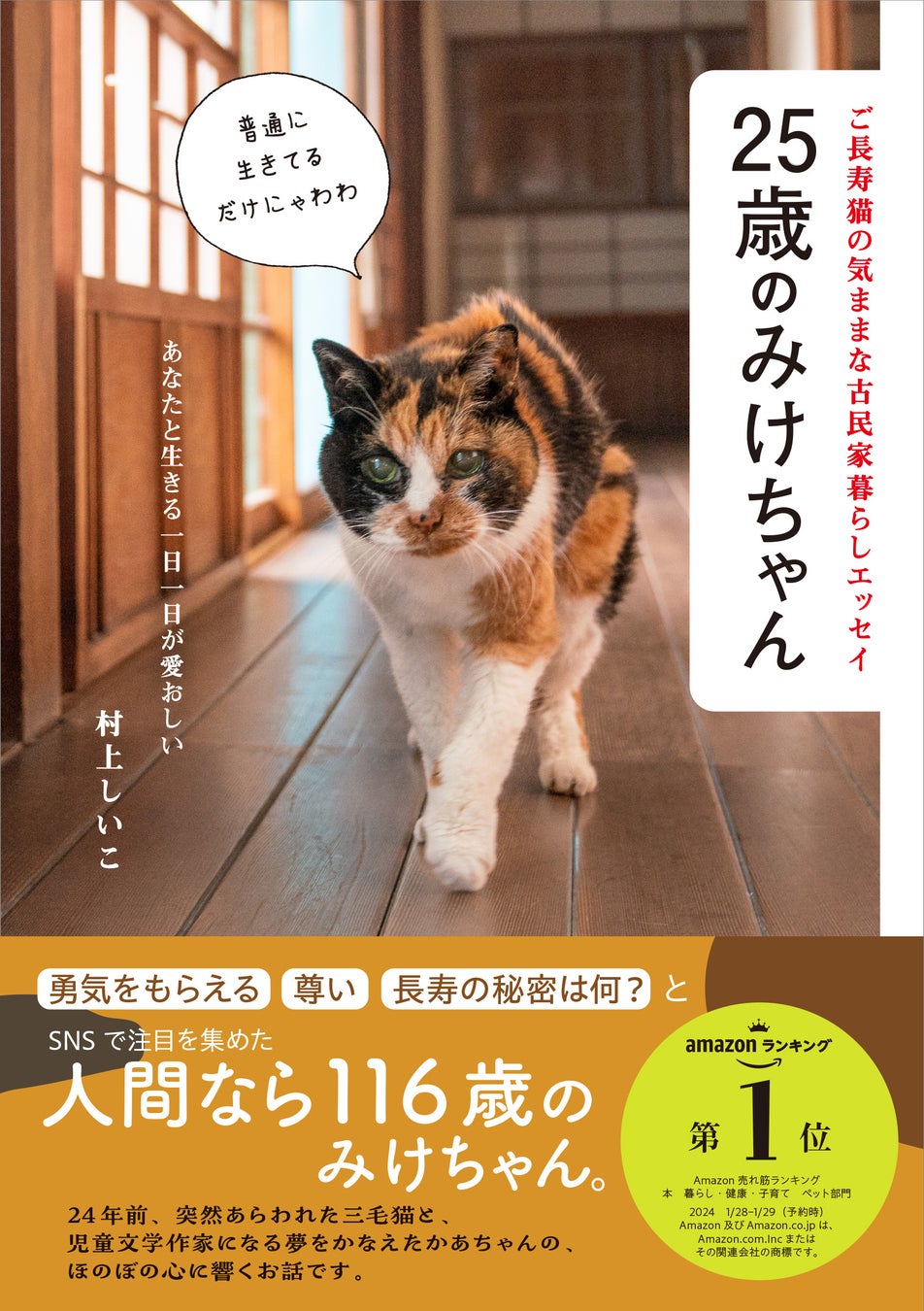 広島出張マッサージ｜アロマオイル｜メンズエステ｜NAGOMI広島店 - 広島県広島市中区