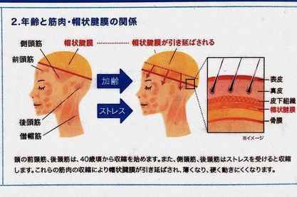 現役美容師監修】ヘッドスパとはどういうメニューかご存知ですか？ 知りたかった効果や種類、自宅でのやり方を紹介します！ | Raku