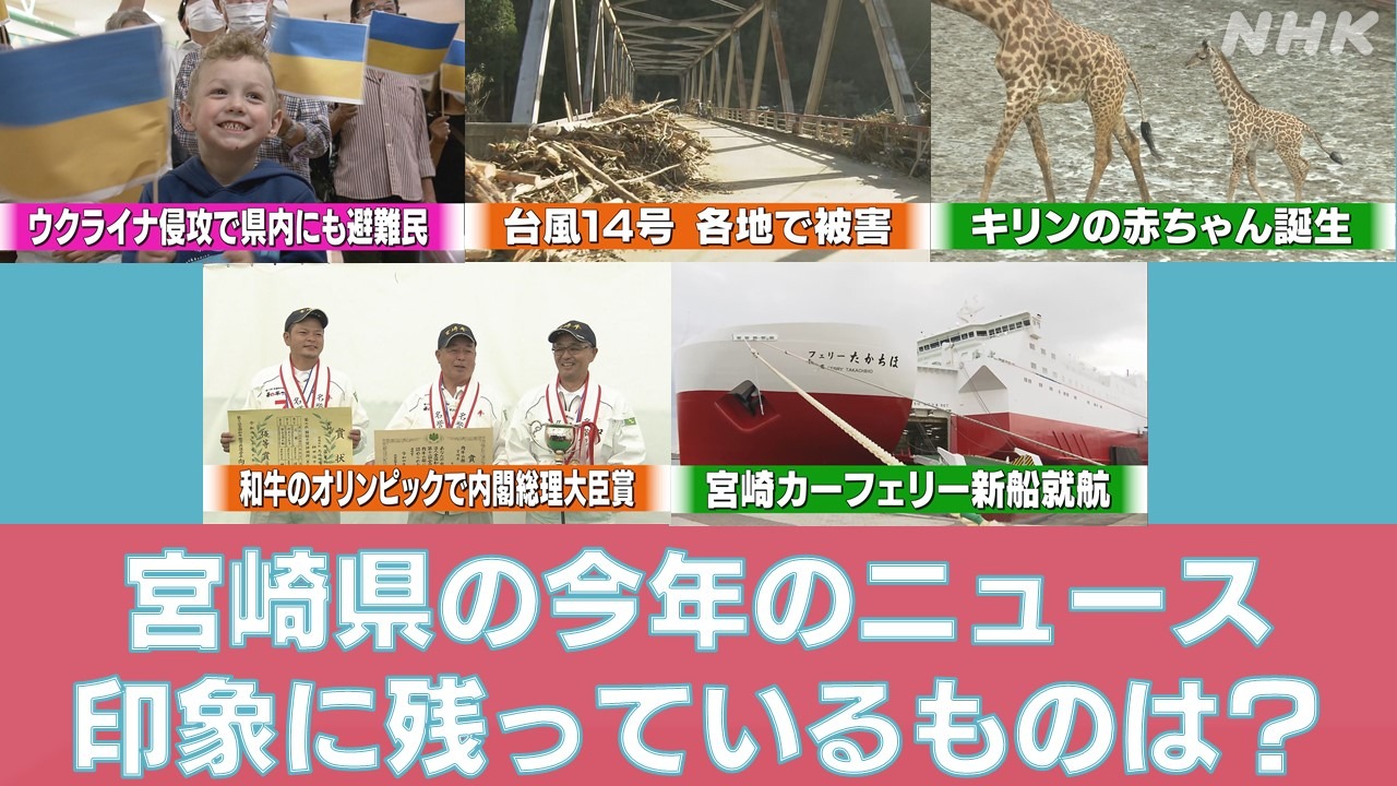 宮崎カーフェリー「たかちほ」船内見学 参加者募集のお知らせ ※応募締切は9/22（金） - かわなみ忠和（カワナミタダカズ）